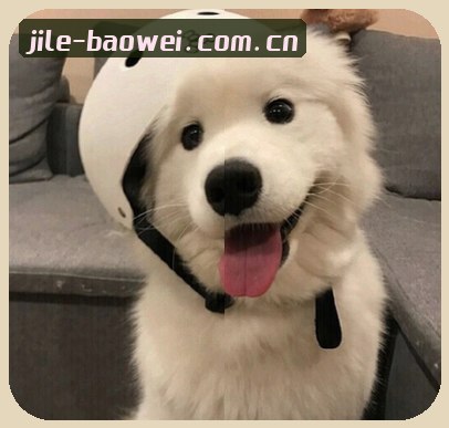 吴敏